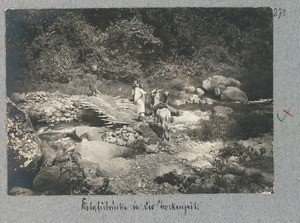 Kikafu bridge in the dry season, Tanzania