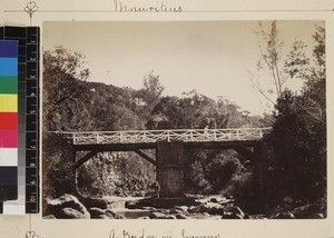 View of missionary standing by bridge over river, Mauritius, ca. 1870