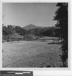 A view of the land at Wuzhou, China, 1950