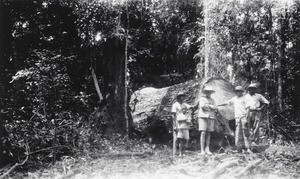 Block of wood, in Ngomo, Gabon