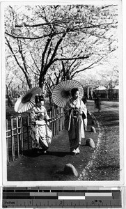 Japanese woman and girl standing under the cherry blossoms, Japan, ca. 1920-1940