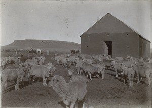 An out-station in Lesotho