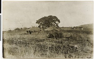 Country cemetery, West Ethiopia, 1929