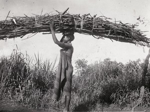 Woman carrying firewood in Cameroon