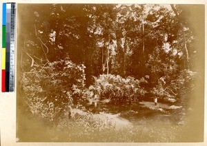 Forest stream, Ghana, ca.1885-1895