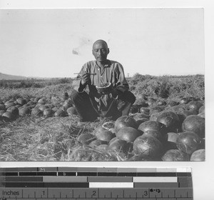 Man seated in field eating watermelon in China, 1945