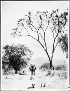 Mailman, Gonja, Tanzania, ca. 1927-1938