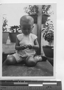 A young boy cracking a Chinese nut at Ducheng, China, 1936