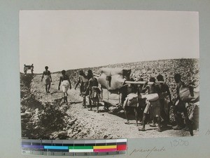 Carriers transporting a piano, Madagascar, 1905