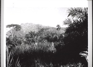 Landscape on the way from Mbengwi into the mountains on a visit to the Bororos