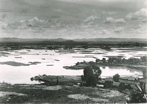 Ricefieds in Antananarivo, Madagascar