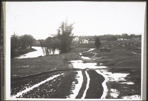 Der Fluss u. d. Felder b. d. Station Kayin. So sehen die Felder aus vor der Bestellung im März