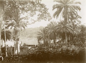 Village along the Ogooue river, in Gabon