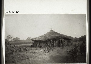 Cattle shed, Lingbisi