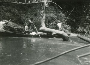 On the river Avebe, in Gabon