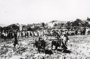 Agricultural work in Ambositra, Madagascar