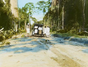 New Road to Elu, Ohafia District, Calabar, Nigeria, ca. 1930-1940