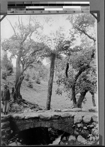 A man next to a bridge, Kyimbila, Tanzania, 1898-1914