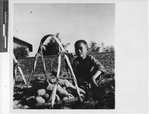 A boy with a basket of root vegetables at Wuzhou, China, 1950