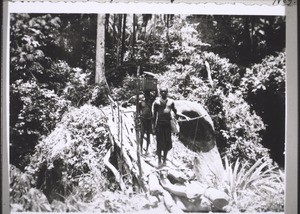 Carriers crossing the bridge