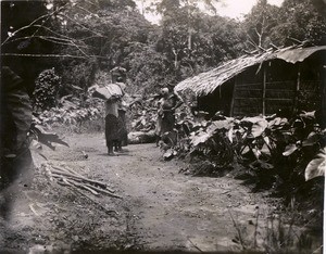 Stop in the forest, in Cameroon