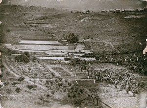 Garden of the school in Miarinarivo, in Madagascar