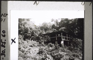 Bilder v. der Reise auf den Kamerunberg m. Bächtold 1937. Hütte am obern Waldrand