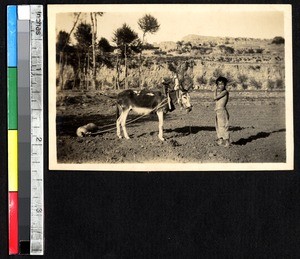 Preparing the soil, China, ca.1931-1934