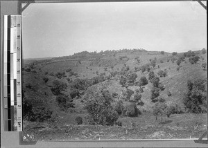 Landscape with plantation, Kyimbila, Tanzania, 1908/1909