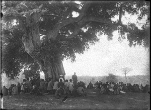 Worship service under a sycamore, Thabina, South Africa, ca. 1901-1907