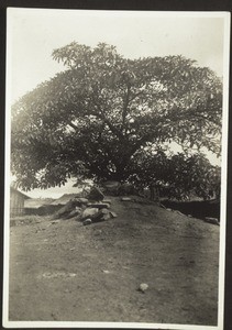 Betenge; Isango stones lying facing the Isango house