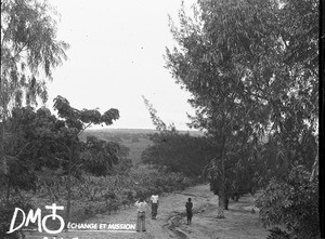 Landscape near Antioka, Mozambique, ca. 1896-1911