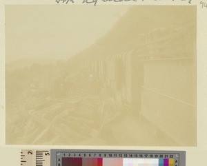 Train on the Uganda railway, Kenya, ca.1908-1912