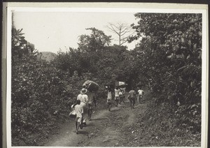 A row of carriers near Dikume