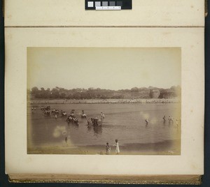 River scene, Ahmedabad, ca.1900-1929