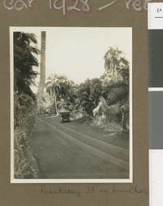 Palm Valley, Kenya, 1928