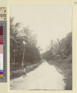 Road on Zanzibar, Tanzania, ca.1901