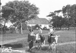 Children riding donkeys, Valdezia, South Africa, ca. 1896-1911