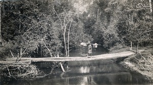 Wooden bridge, in Madagascar