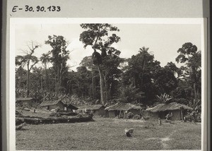 A view of the first village. In the background the forest, from which land was cleared through really hard work