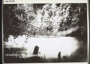 Hängebrücke über den Mungofluss. Kamerun