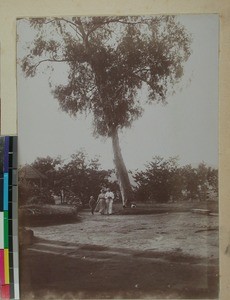 Johannes Johnson together with his wife and one child in the Betafo Mission Station's garden, Betafo, Madagascar, 1901