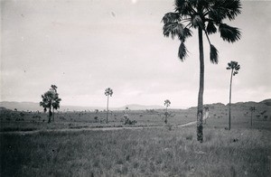 Horombe plain, in Madagascar