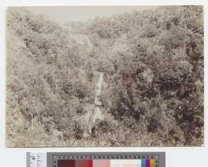 Waterfall at Mlanje Plateau, Malawi, ca.1910