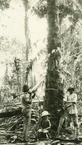 Missionary child in front of a palm tree, in Gabon