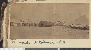 Carrier Hospital, Dodoma, Tanzania, July-November 1917