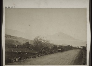 Customs house on the post road from Santa Cruz to Laguna, Teneriffe