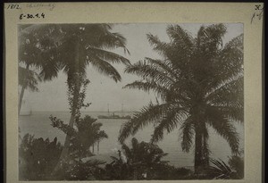 Cameroon River near the Government Station. Duala