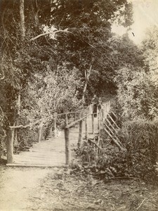 Footbridge, in Gabon