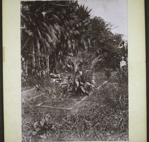 Grave of Rev. K. Bastian in Cameroon